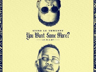 Stino Le Thwenny - You Want Some More Album zip mp3 download free 2023 full file zippyshare itunes datafilehost sendspace
