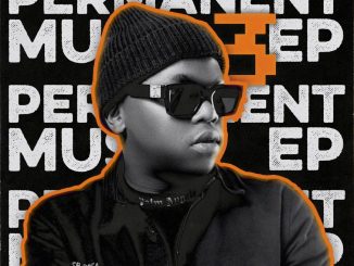 Dlala Thukzin - Permanent Music 3 EP zip mp3 download free 2023 full album file zippyshare itunes datafilehost sendspace