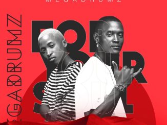 Megadrumz - For Your Soul (Extended Edition) Album zip mp3 download free 2023 full file zippyshare itunes datafilehost sendspace