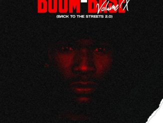 Pro-Tee - Boom Base Volume X Album zip mp3 download free 2023 full file zippyshare itunes datafilehost sendspace