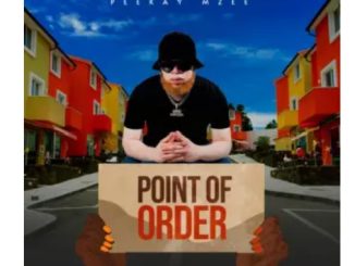 Peekay Mzee – Point Of Order EP