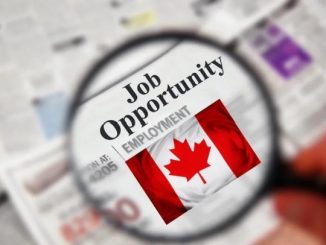 10 Unique Strategies for New Immigrants to Find a Job in Canada