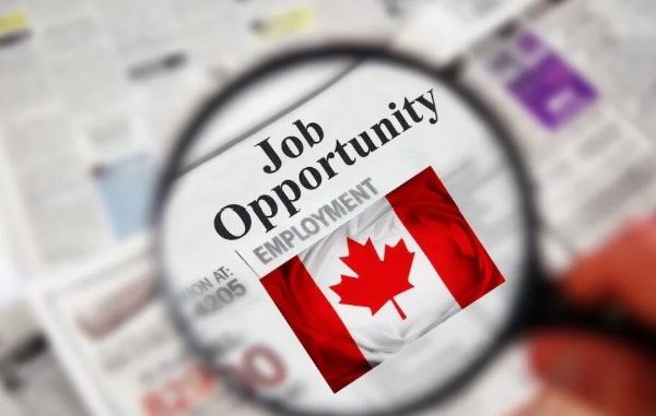 10 Unique Strategies for New Immigrants to Find a Job in Canada