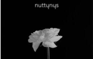 Nutty Nys – Clarity (Taints Remix)