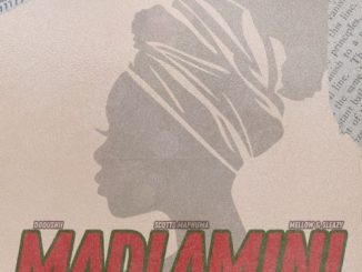 DoouShii & Scotts Maphuma – Madlamini ft. Mellow & Sleazy