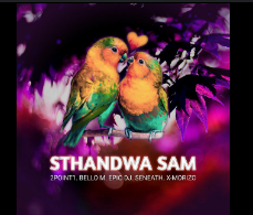 Screenshot 2025-01-26 6.37.40 AM 2point1 – Sthandwa Sam