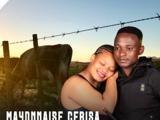 Mayonnaise Cebisa - ZIPHI IZINKOMO