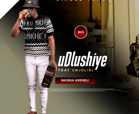 Screenshot 2025-02-18 8.02.52 AM UDLUSHIYE - INKINGA AWENELI Ft. MJOLISI