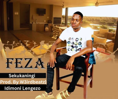 Screenshot 2025-02-20 9.15.46 PM Weirdo2265 Ft. Feza - Sekukaningi