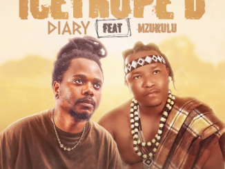 Diary - Icetrope'D Ft. Mzukulu