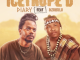 Diary - Icetrope'D Ft. Mzukulu
