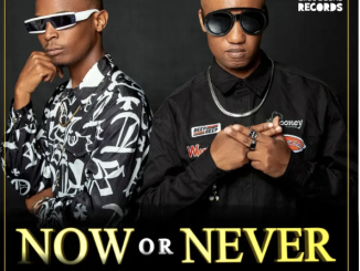 Now Or Never (Collecter’s Edition)