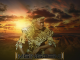 Mgingqeni - Ukwenza Kuyashiyana Album
