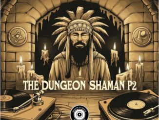 Terry Vibez – The Dungeon Shaman, P2
