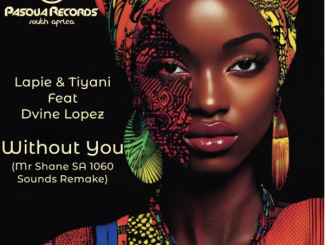 Lapie, Tiyani & Dvine Lopez – Without You (Mr Shane SA 1060 Sounds Remix)
