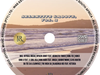 VA – Selektive Groove, Vol. 2