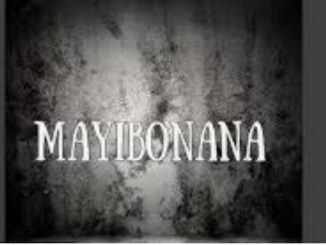 Stady K, Stompiiey & Cowboii – Mayibonana