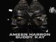 Ameen Harron – Ebumnandini ft. Buddy Kay