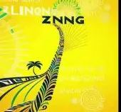 AfroNerd – Zindlondio ft. Lizwi