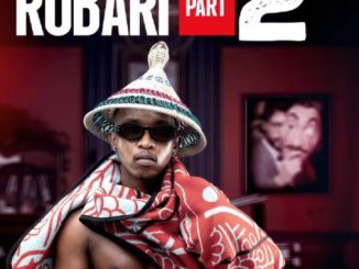 Ntate Stunna – Robari 2