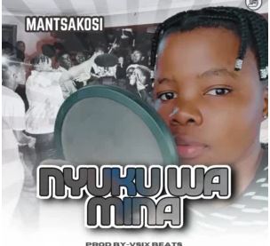 Mantsakosi – Nyuku Wa Mina