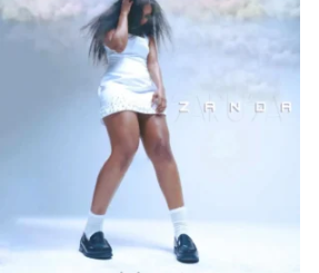 Zanda Zakuza – Ndinga (feat. AirBurn Sounds & John Delinger)