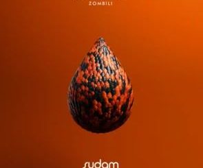 Sohno & Lizwi – Zombili