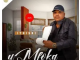 Umfoka Msezane – Ziyakushiya izinto