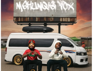 We Dem Boyz – Mshunqisi Vox