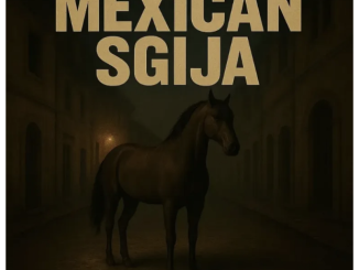 Allimthae Official, Terminal ZA & Sthipla RSA – Mexican Sgija