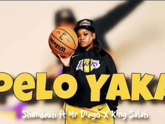 Shandesh – Pelo Yaka ft. Mr Diego x King Salah