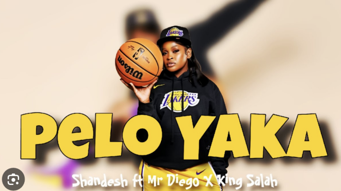 Shandesh – Pelo Yaka ft. Mr Diego x King Salah