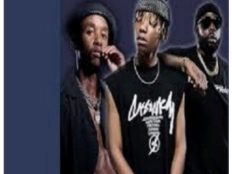 Dj Maphorisa – Stem ft Xduppy, Seun1401 & Ftears