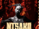 Drumetic Boyz – Ntsako