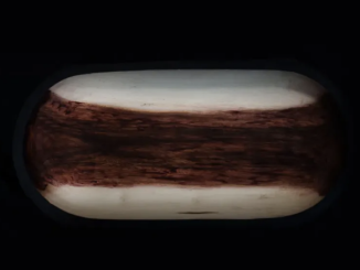 Lowfeye & Blue Pappi