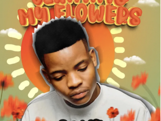 Roctonic SA – Wosh (Original Mix)