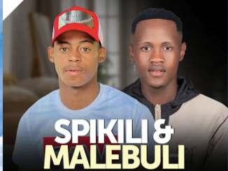 Amasinamuva Amasha feat. Ndumiso Luthuli - Naledi (Visualizer)