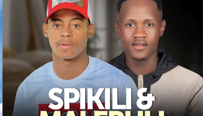 Amasinamuva Amasha feat. Ndumiso Luthuli - Naledi (Visualizer)