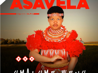 Asavela - Dali wami Ft. Mjolisi